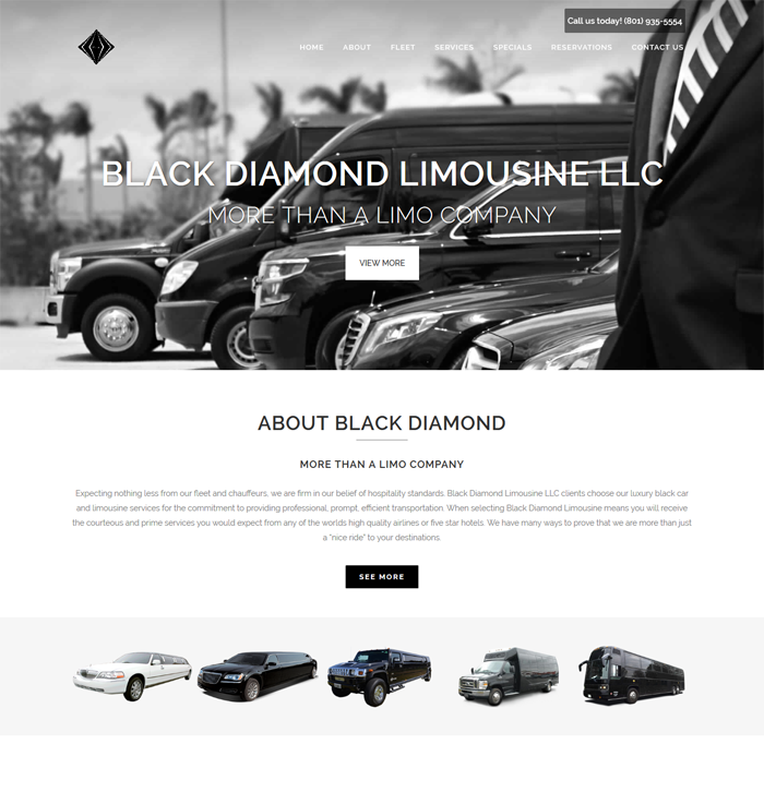 Black Diamond Limousine LLC