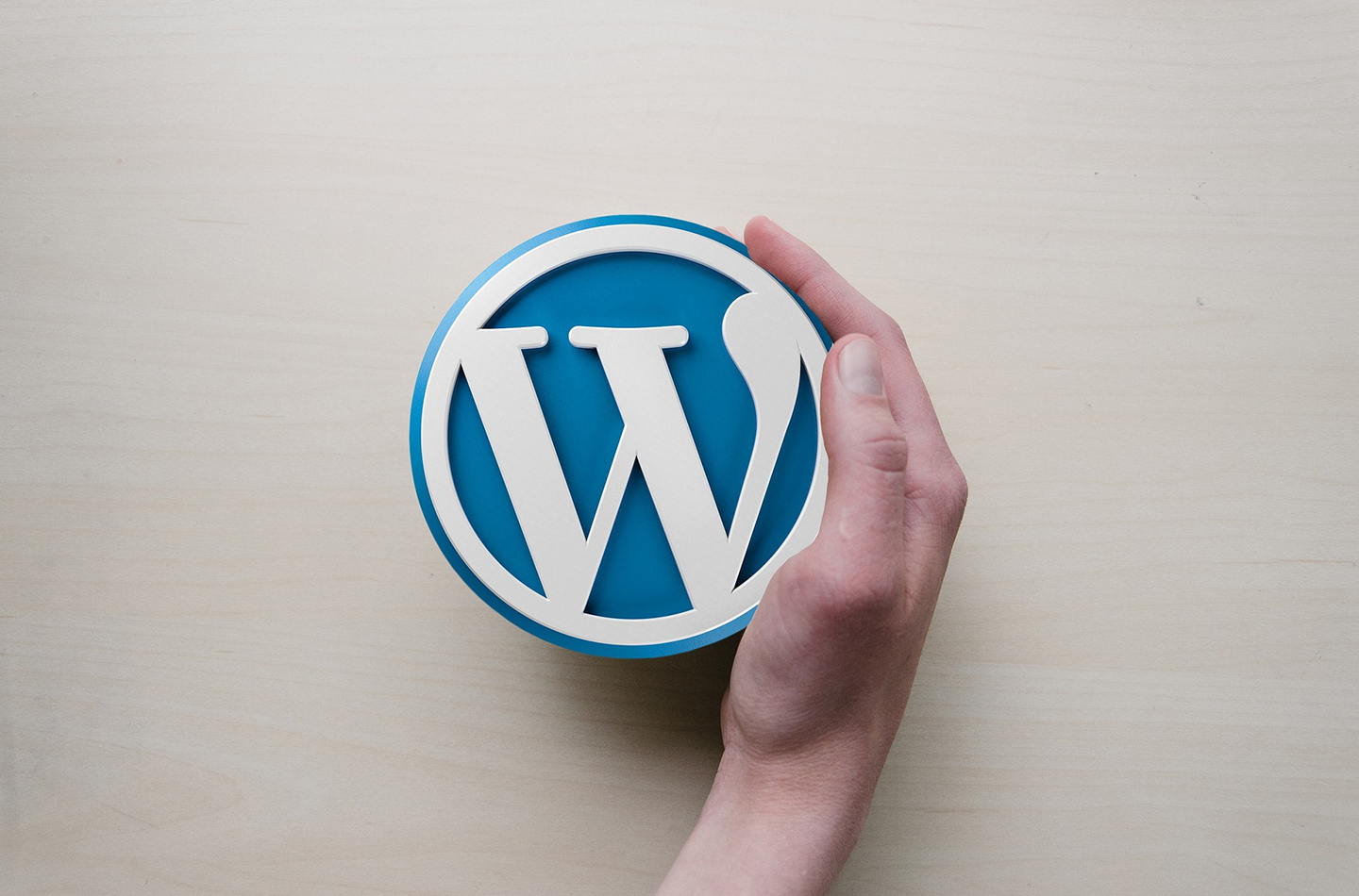 wp website design company near me